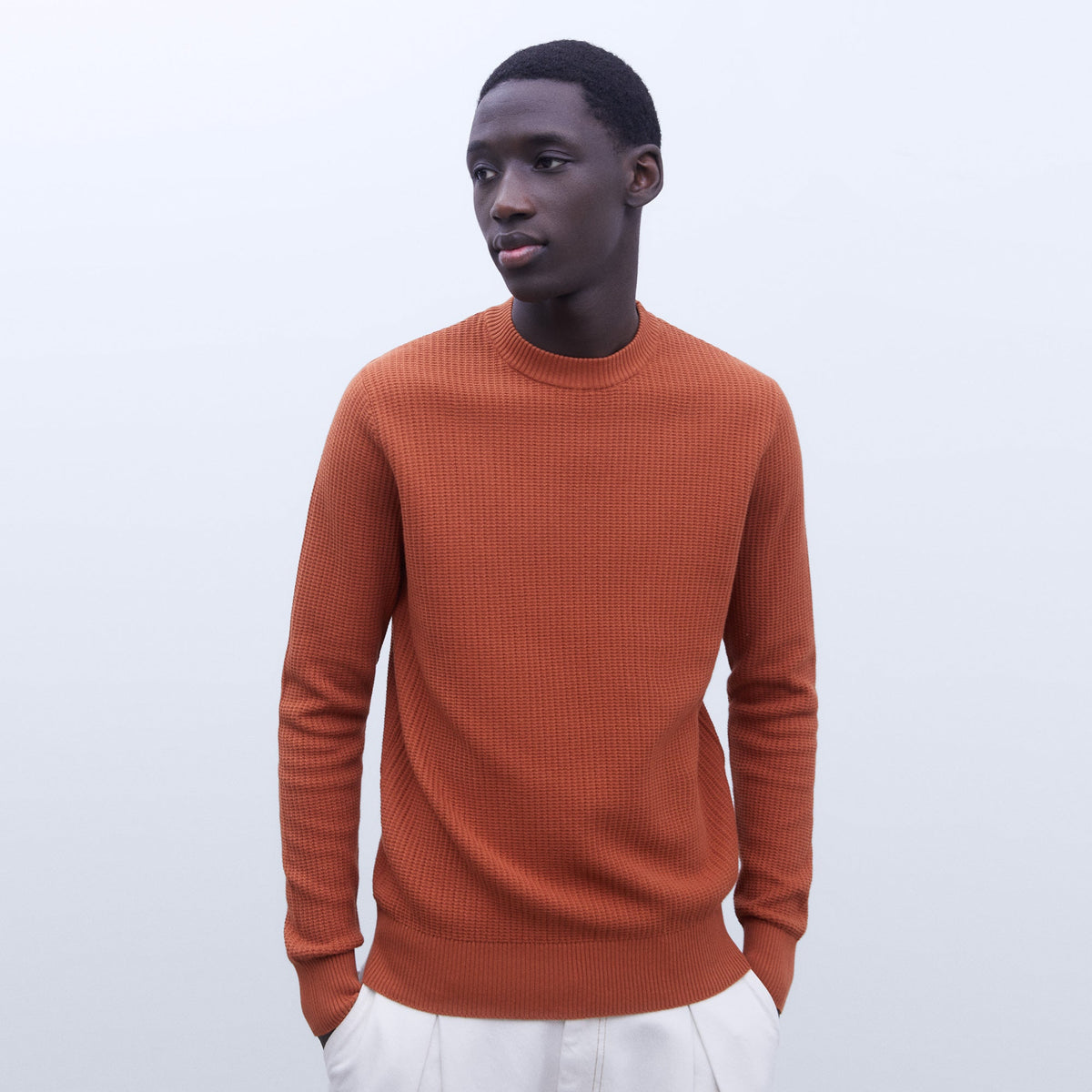 Rust Cotton Crew Neck Sweater