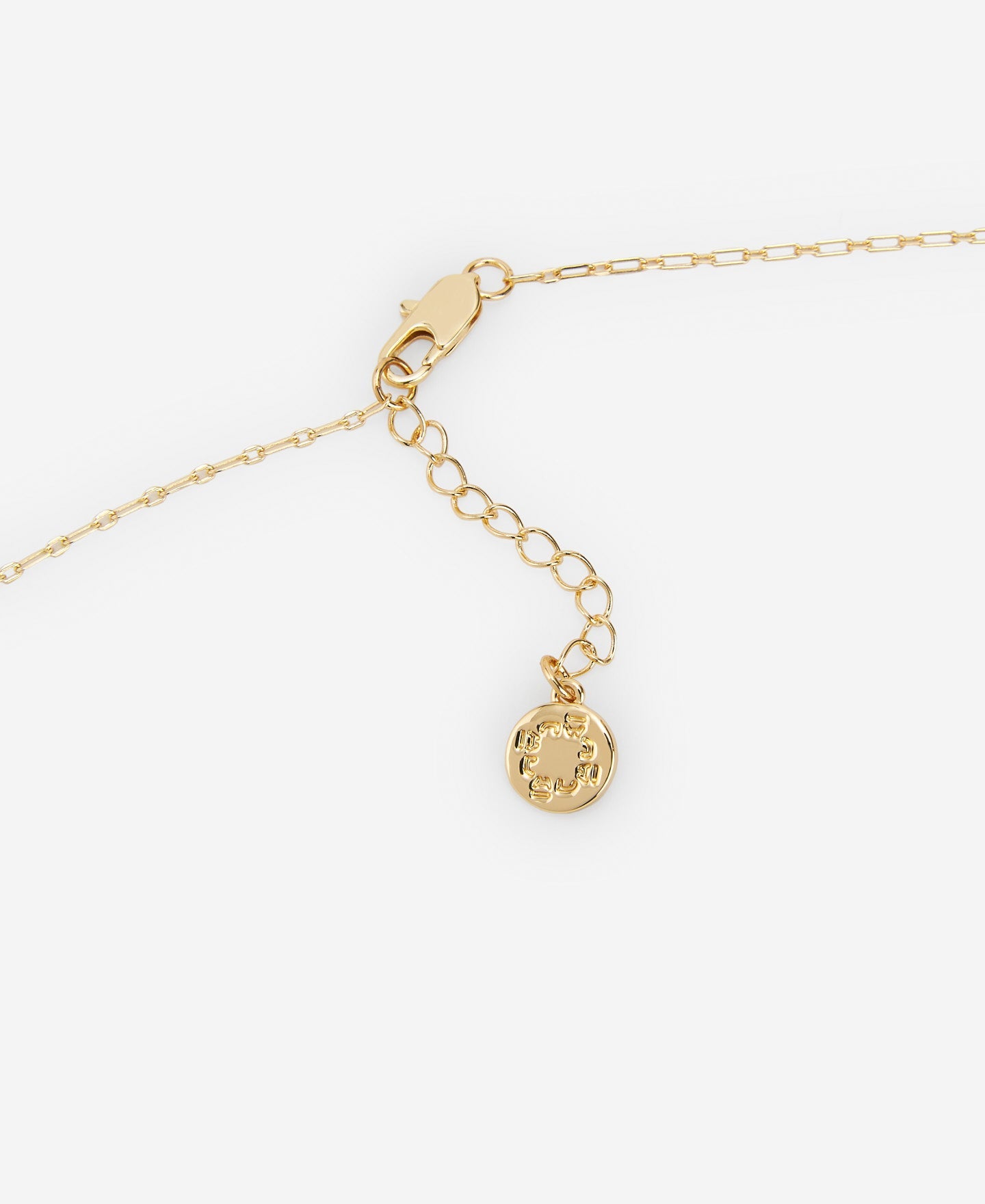 Garza Motif Pendant With Metallic Chain