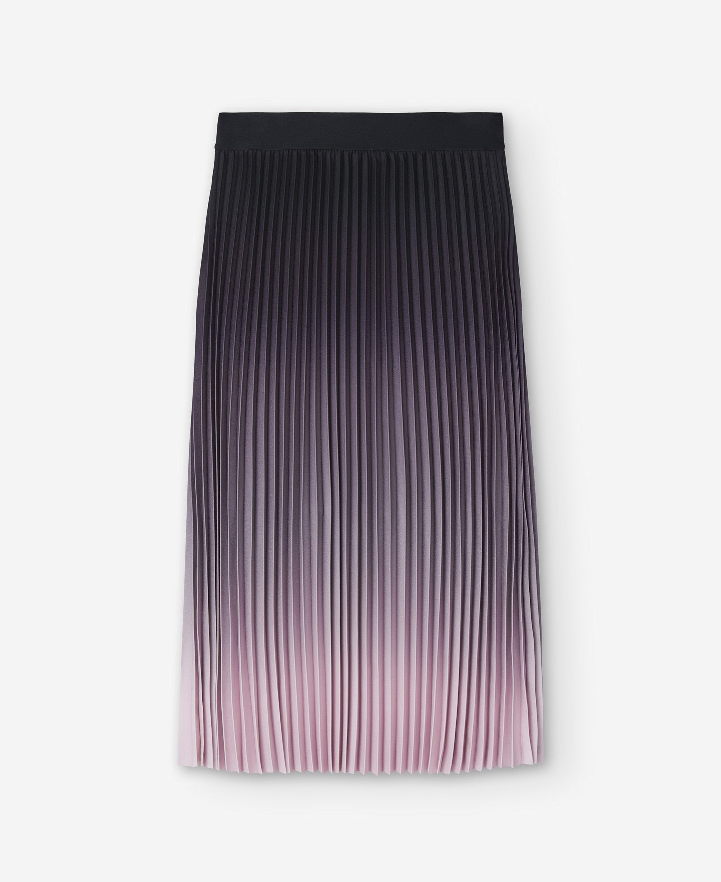 Long Pleated Skirt Woman