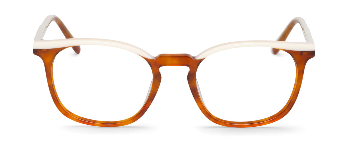 Gordon Glasses For Optical Lenses