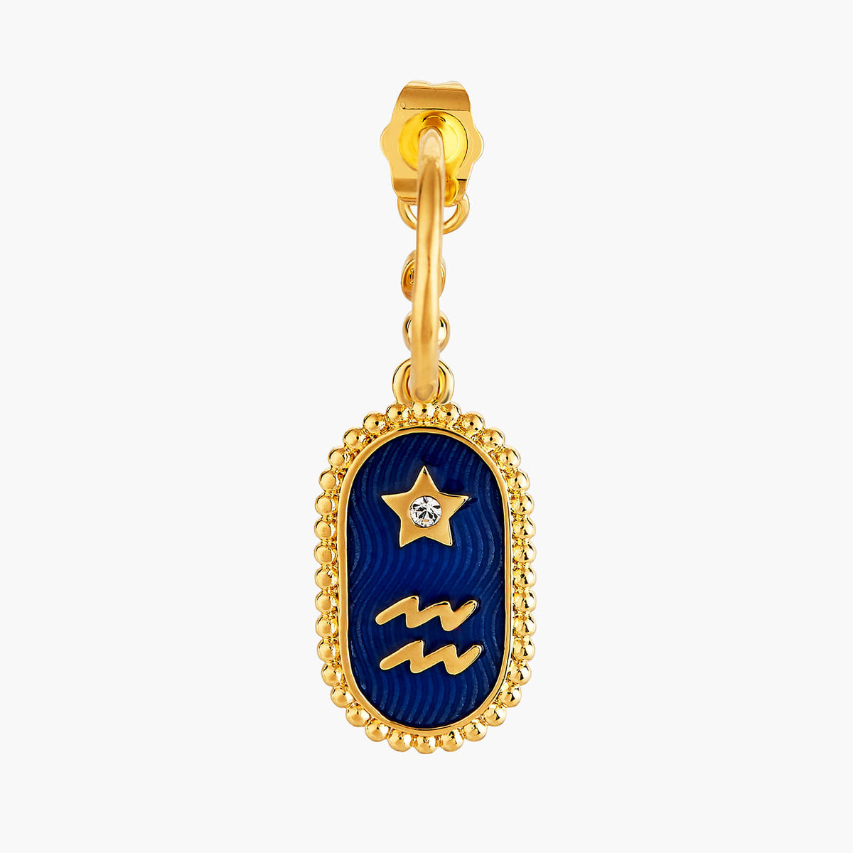 Aquarius Zodiac Sign Earrings | ANCS1111