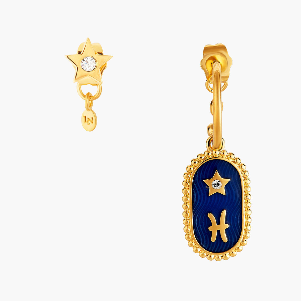 Pisces Zodiac Sign Earrings | ANCS1121
