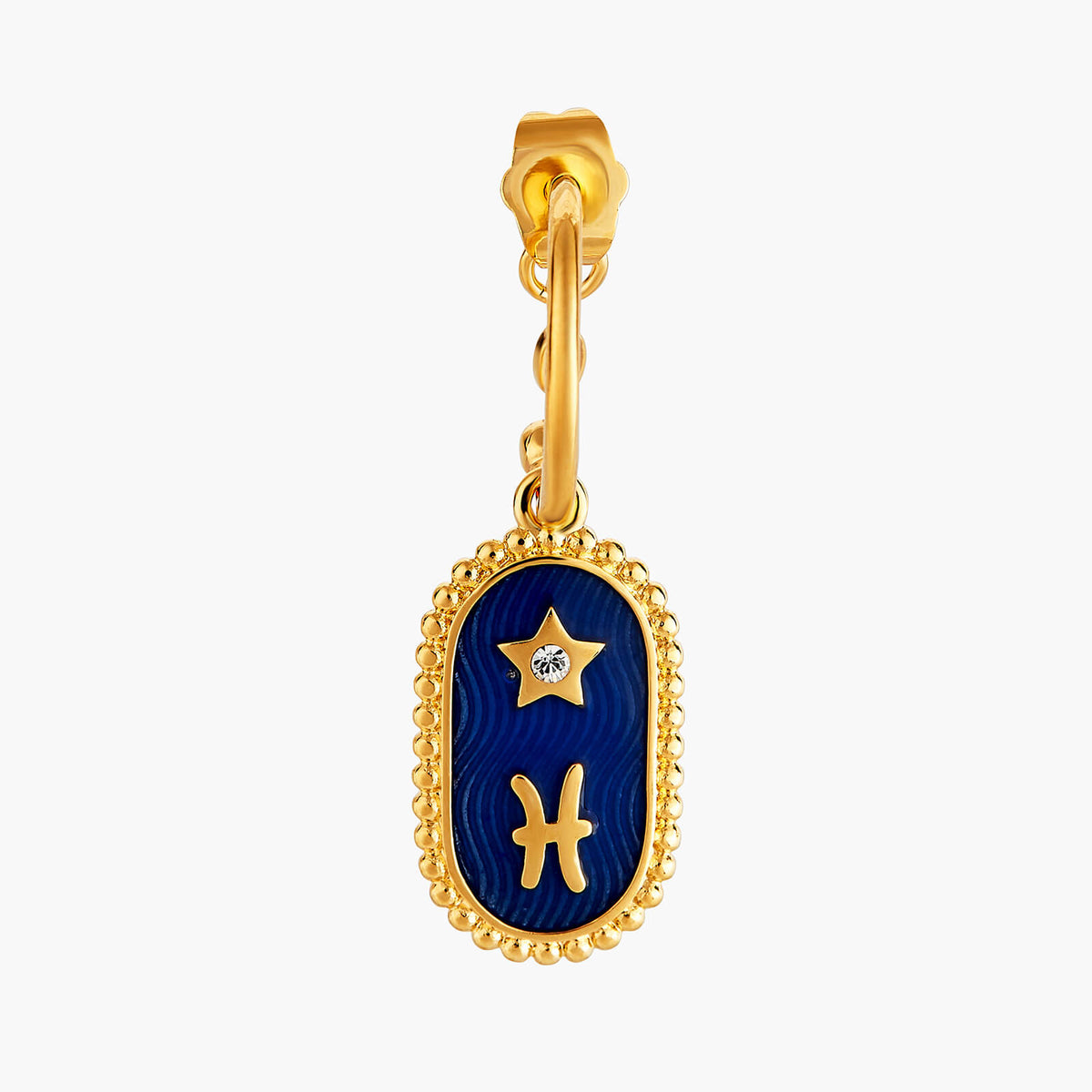 Pisces Zodiac Sign Earrings | ANCS1121
