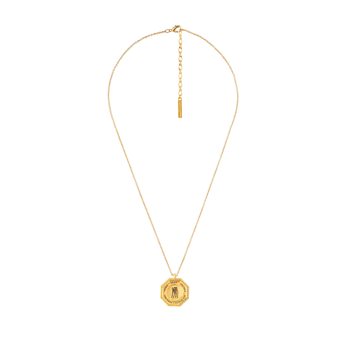 Tiger Zodiac Sign Pendant Necklace | anza3031