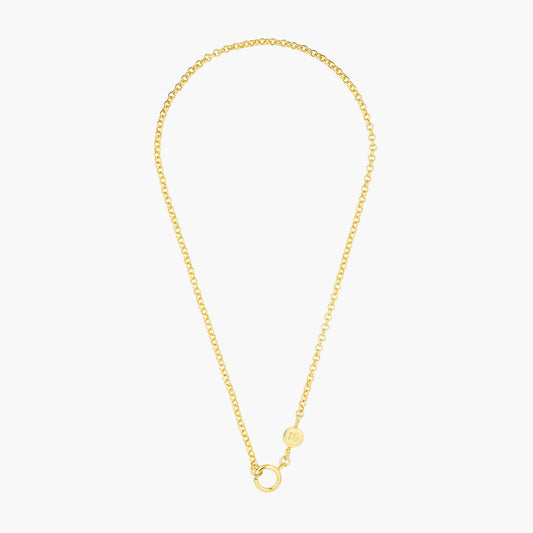 Charm Necklace Chain | AOCH3011