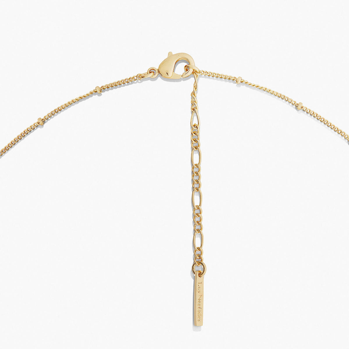 Casse Noisette Necklace | AOCN3021