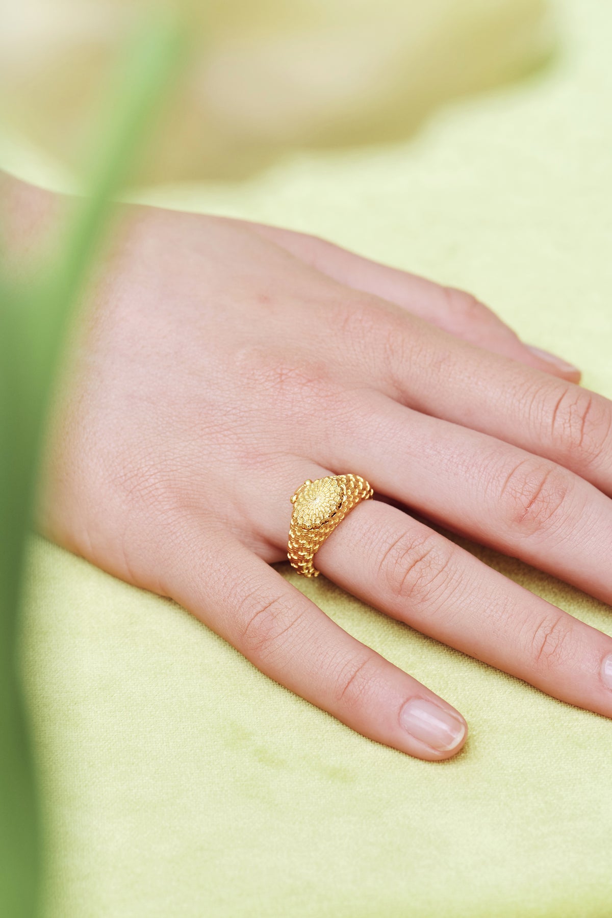 Petit Jardin Rings | AOPJ601/1