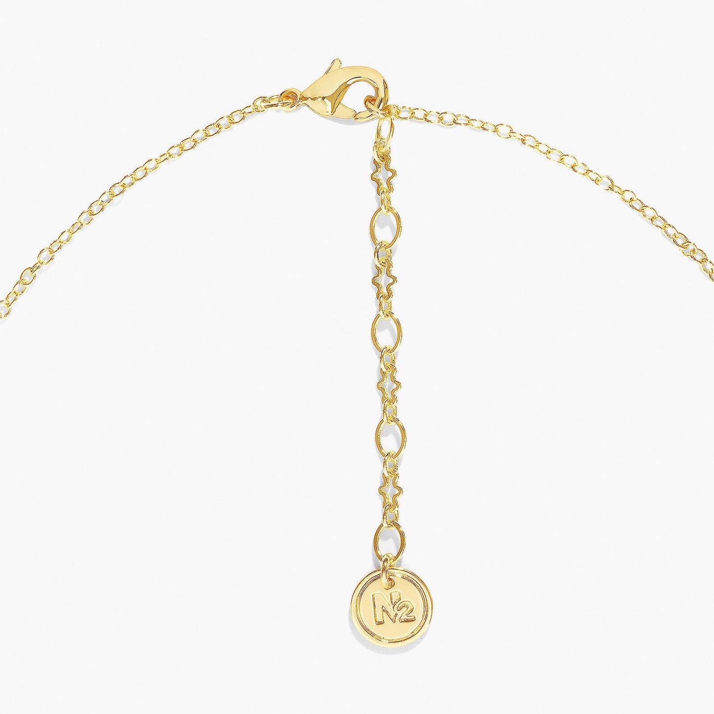 Artemis Long Necklace | APPD3071