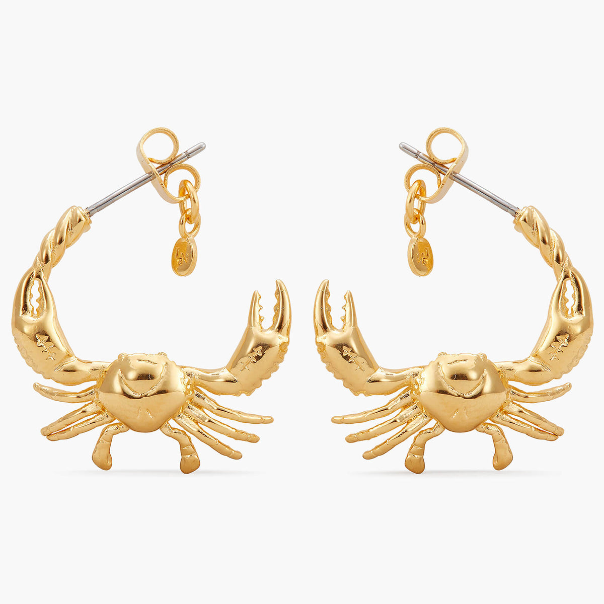 Cancer Astrological Sign Hoop Earrings | APPV1041