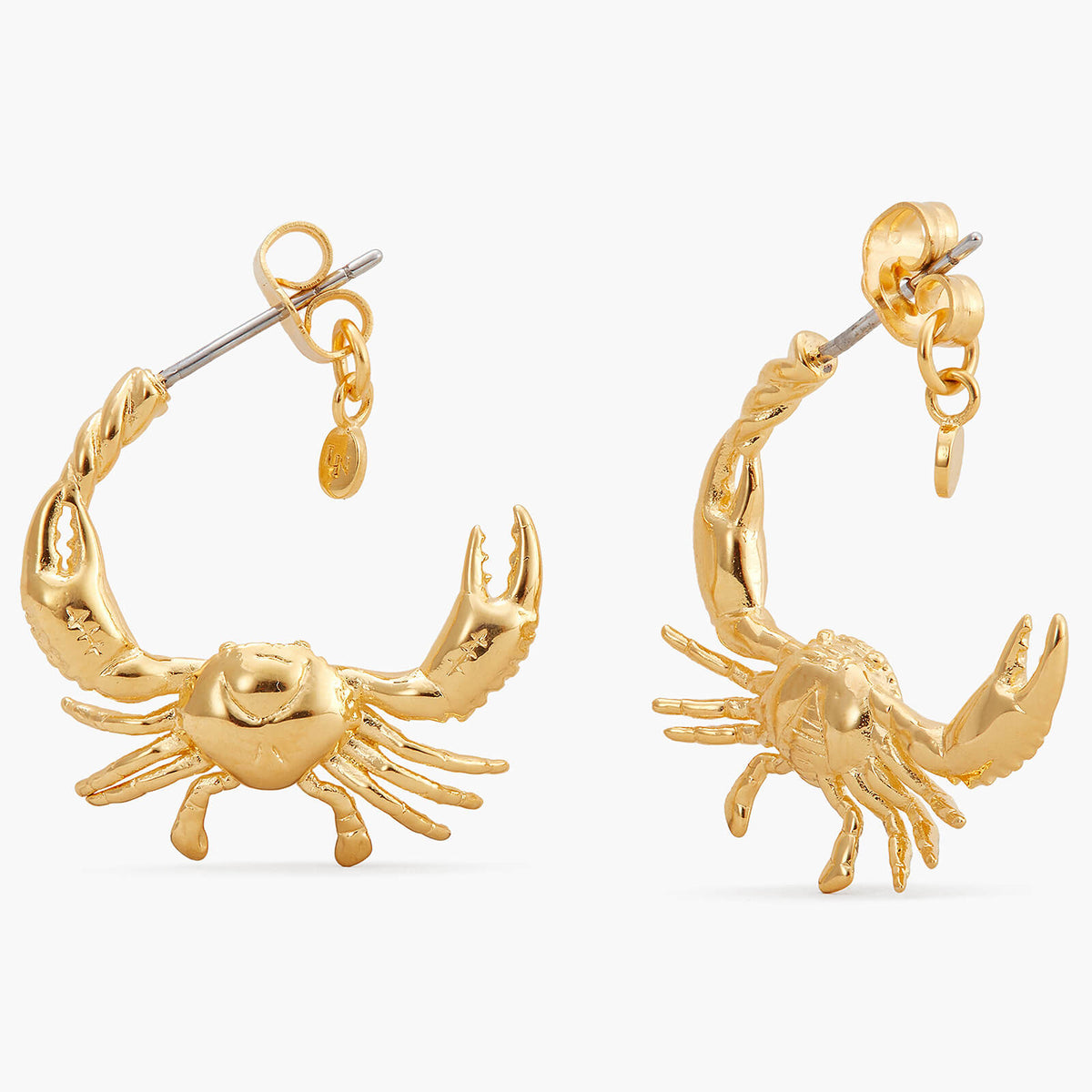 Cancer Astrological Sign Hoop Earrings | APPV1041