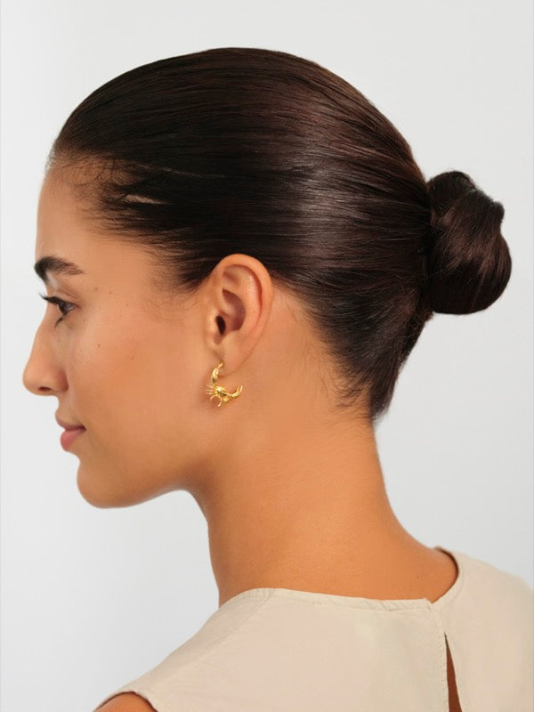 Cancer Astrological Sign Hoop Earrings | APPV1041