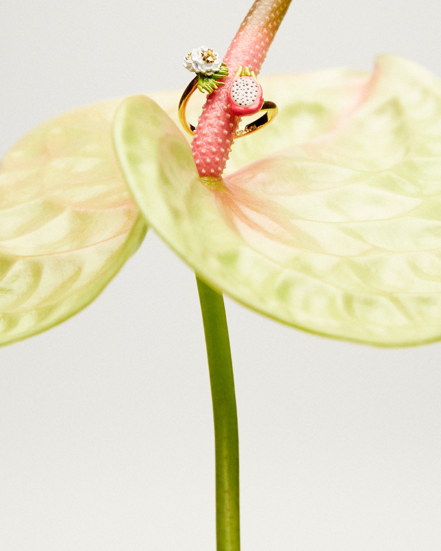 Dragon Fruit And Pitaya Flower You And Me Adjustable Ring | ARPA6031
