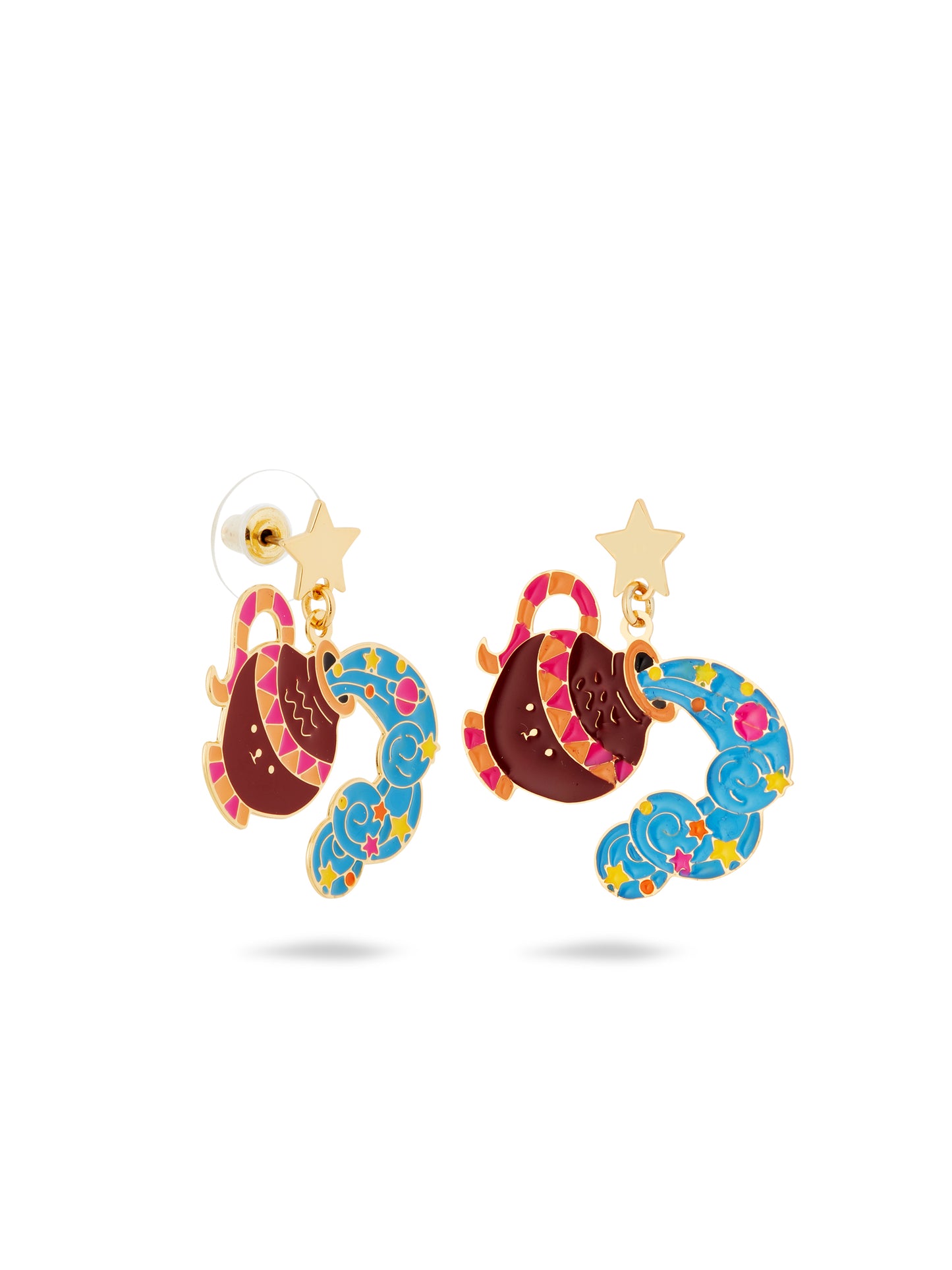 Aquarius Astrological Sign Earrings