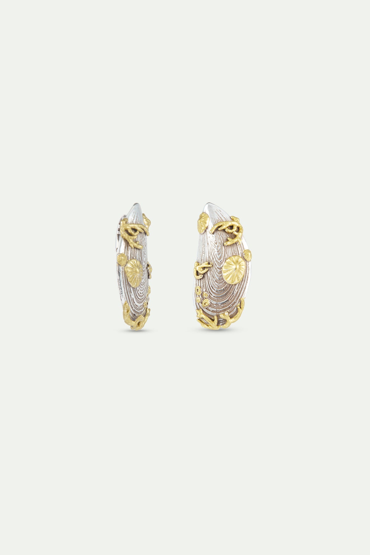 Silver And Gold Mussel Earrings | AXMO1061
