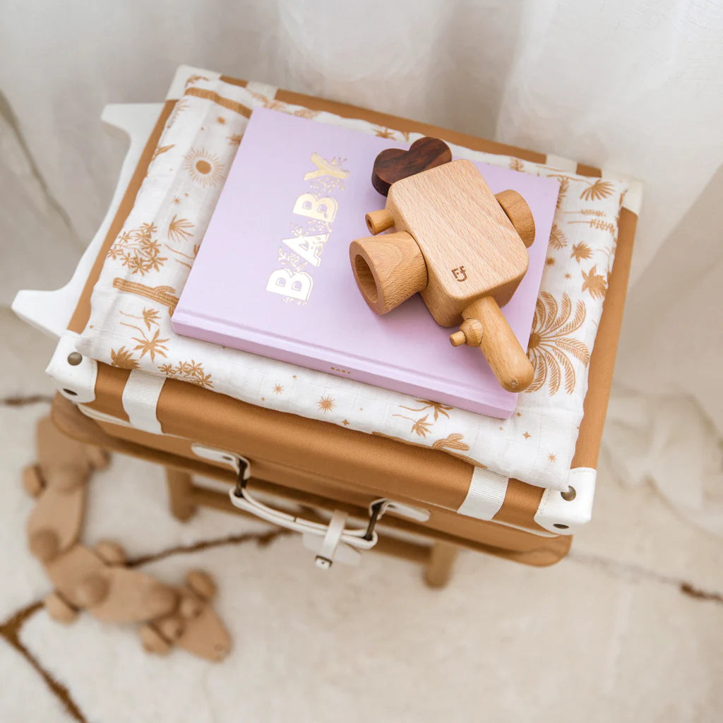 Mini Baby Book Lilac Boxed