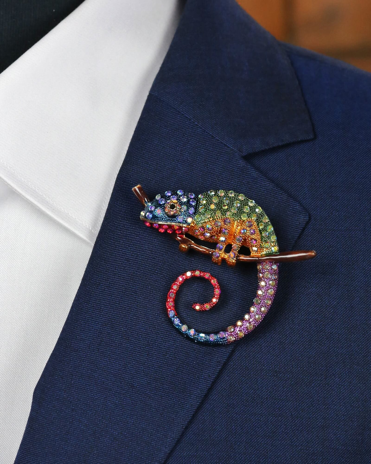 Chameleon Pin