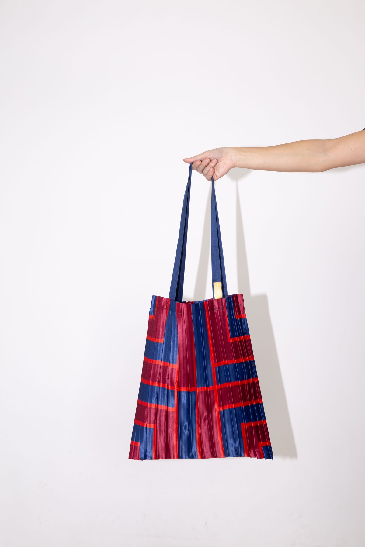Multitudes Satin Pleated Stintino Tote Bag