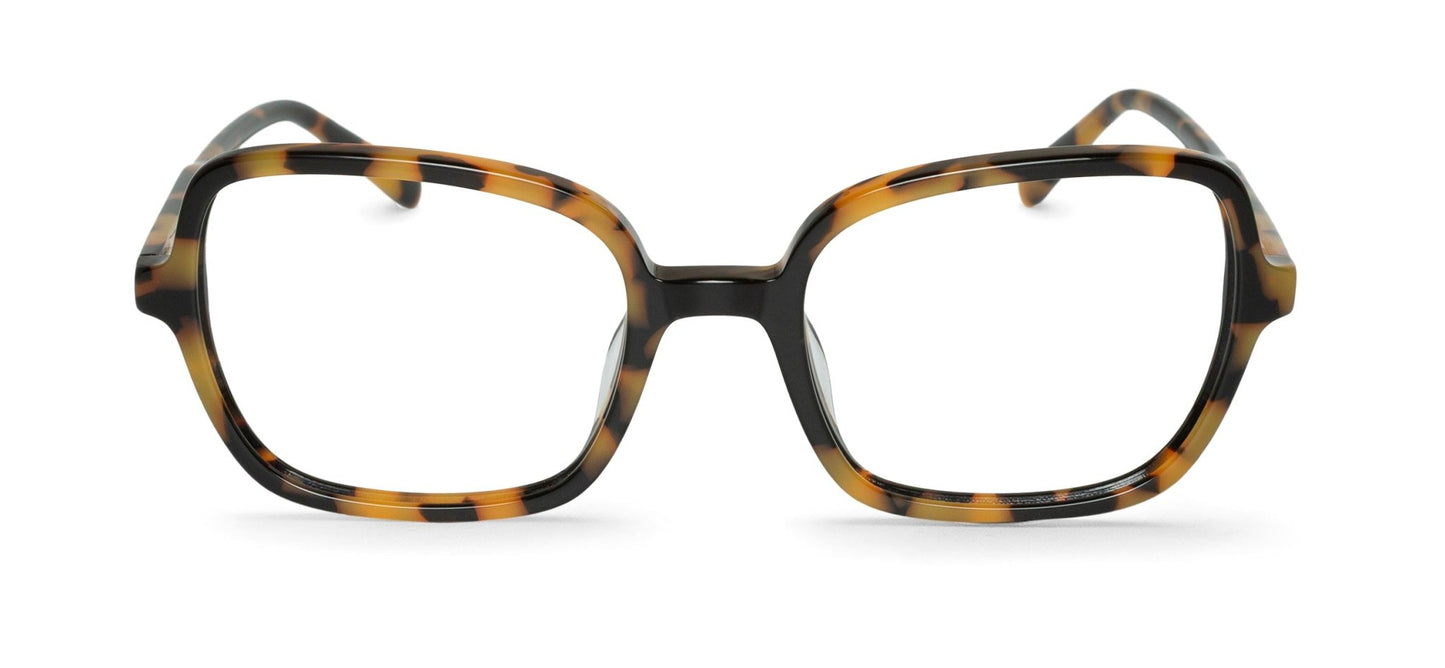 Dunphy Glasses For Optical Lenses