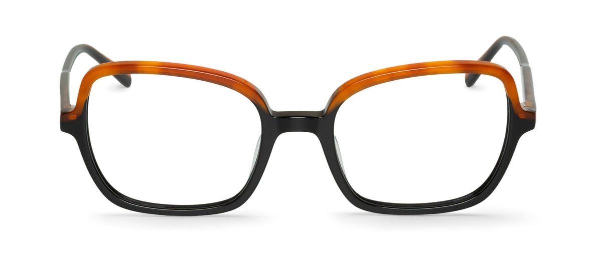 Dunphy Glasses For Optical Lenses