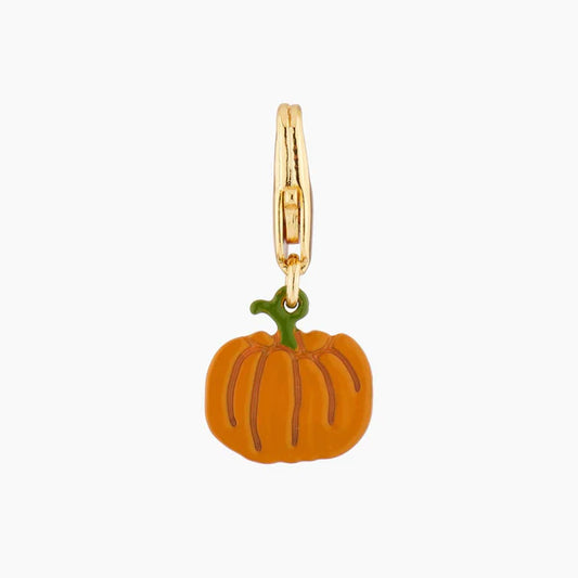 Pumpkin Charms Accessories | AMCH4051