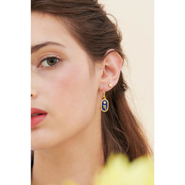 Aquarius Zodiac Sign Earrings | ANCS1111