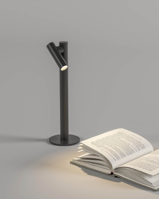 Ubiqua Zoom Desk Lamp