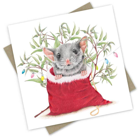 Christmas Card: Leadbeater’S Possum