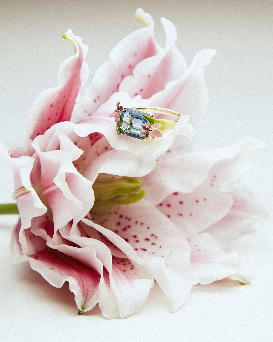 Dazzling Discretion Ring