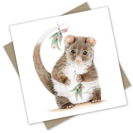 Banjo The Ringtail Possum Card