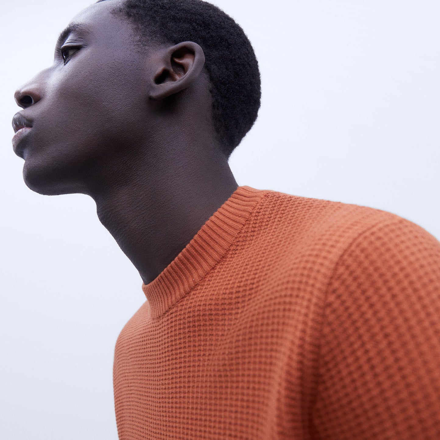 Rust Cotton Crew Neck Sweater