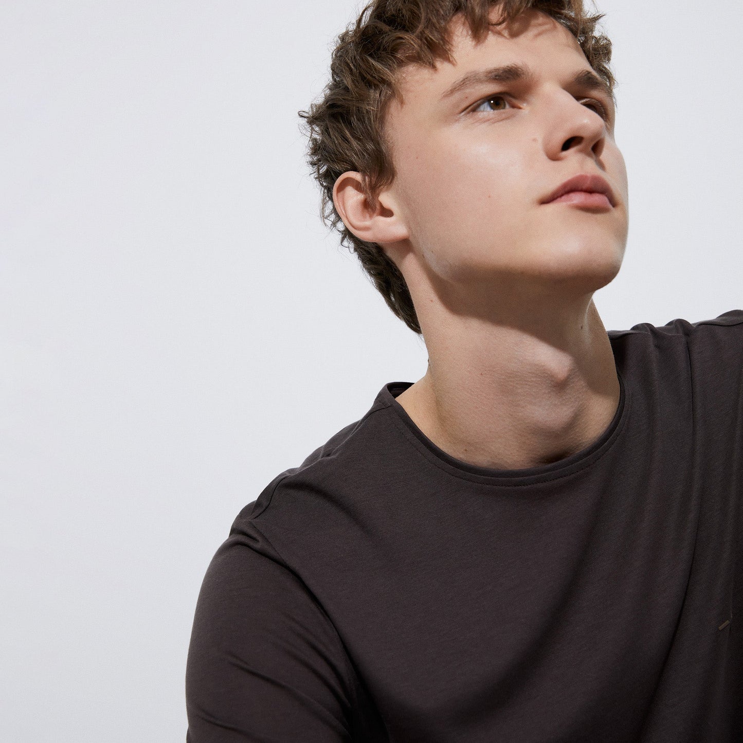 Chesnut Brown Lyocell Crew Neck T-Shirt