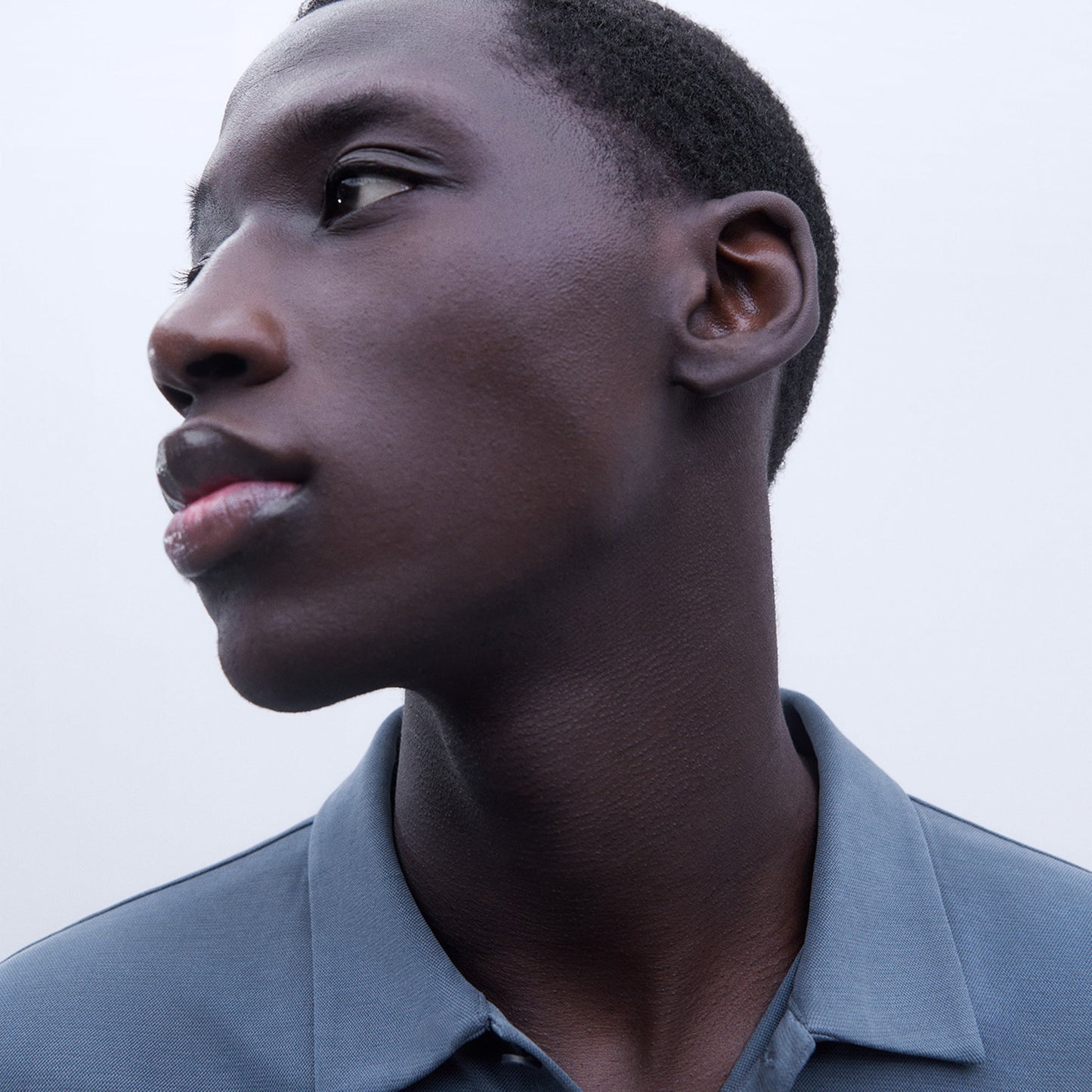 Blue Mallard Modal Polo Shirt