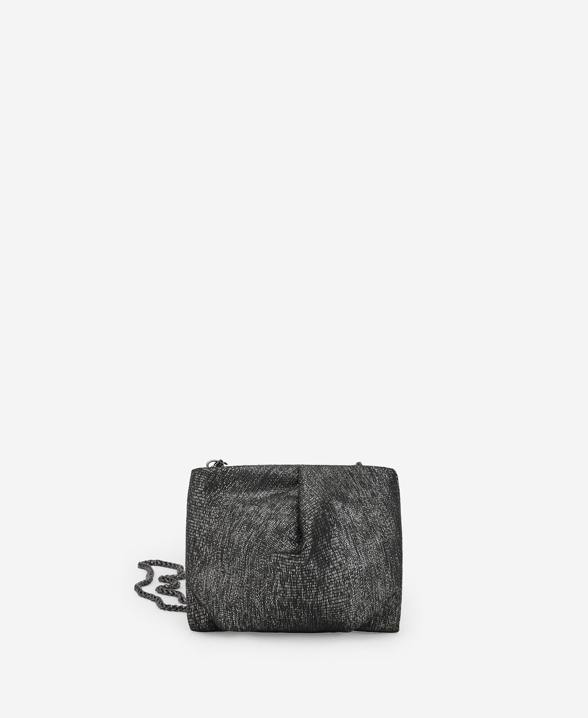 Silver Woman's Clutch