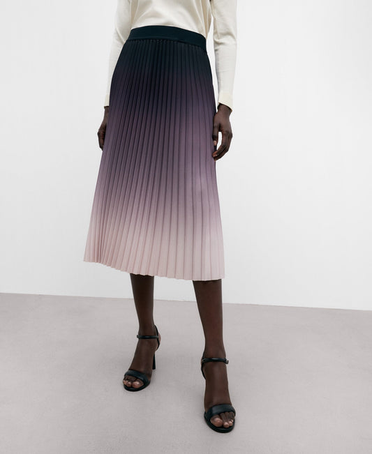 Long Pleated Skirt Woman