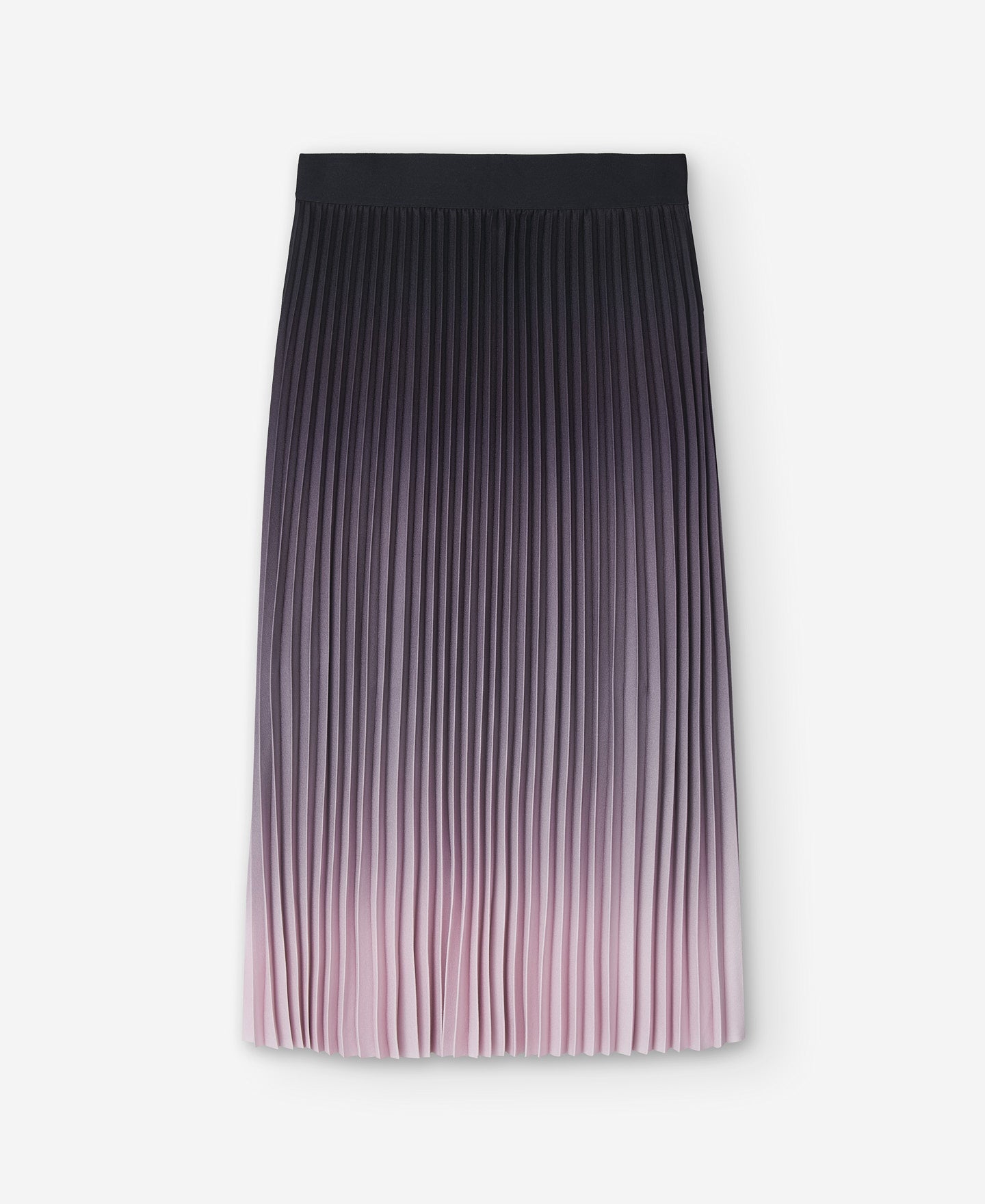 Long Pleated Skirt Woman