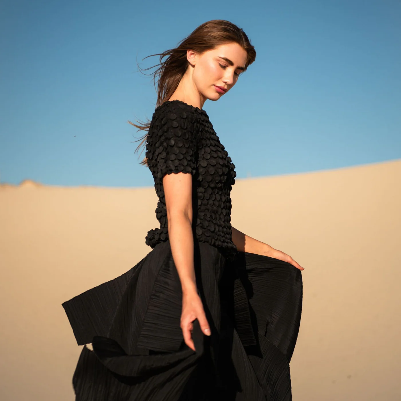 Shutter Skirt