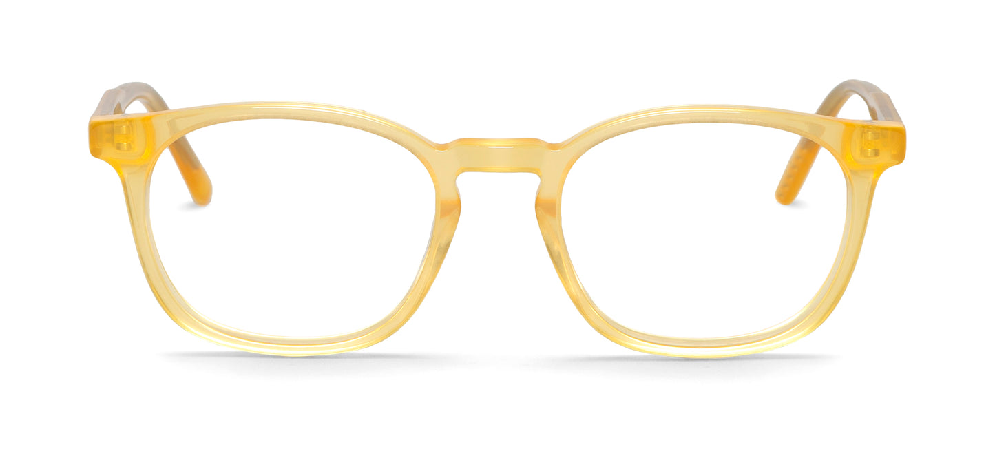 Gordon Glasses For Optical Lenses