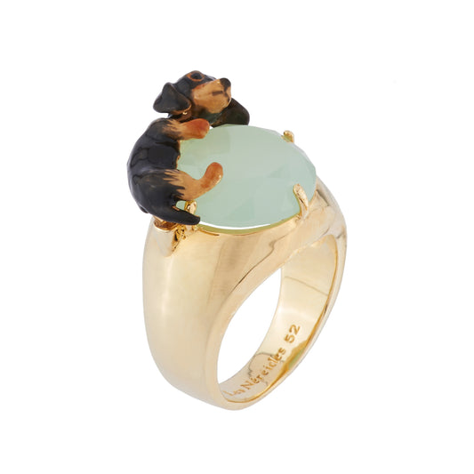 Lnla Rings | AILA602/11