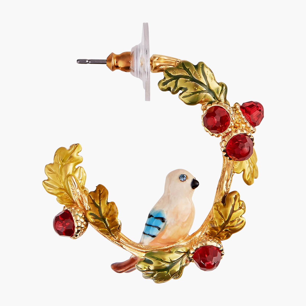 Acorn And Jay Creoles Earrings | AMEF1021