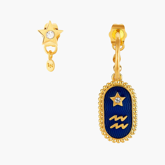 Aquarius Zodiac Sign Earrings