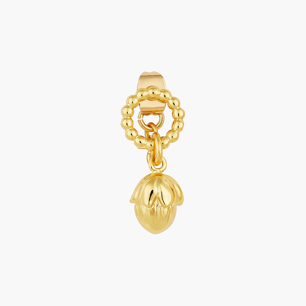 Casse Noisette Earrings | AOCN1061