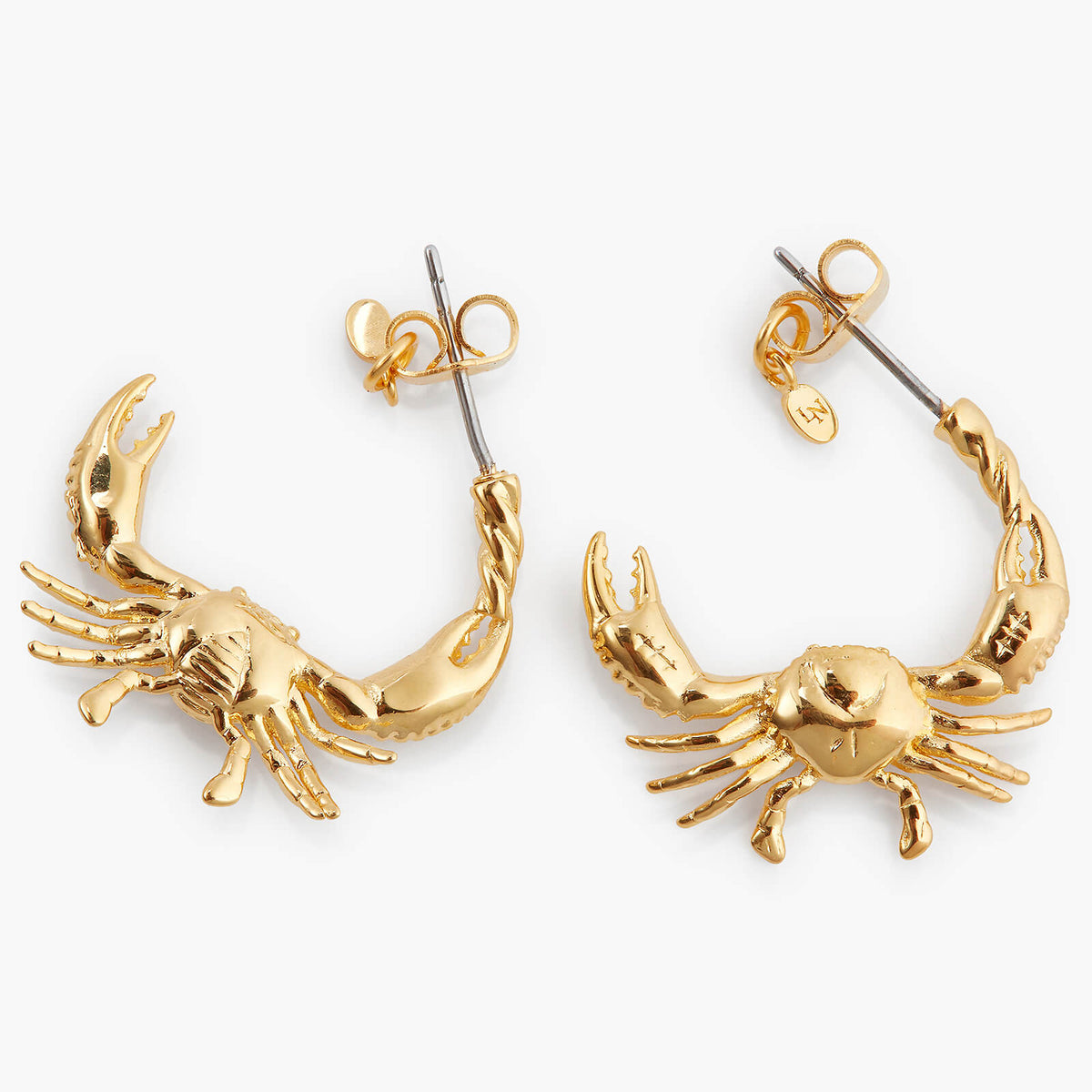Cancer Astrological Sign Hoop Earrings | APPV1041