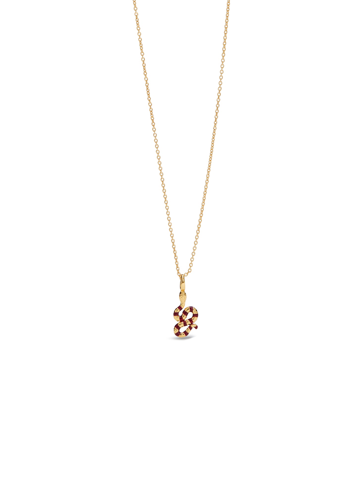 Snake Charm | auch4041
