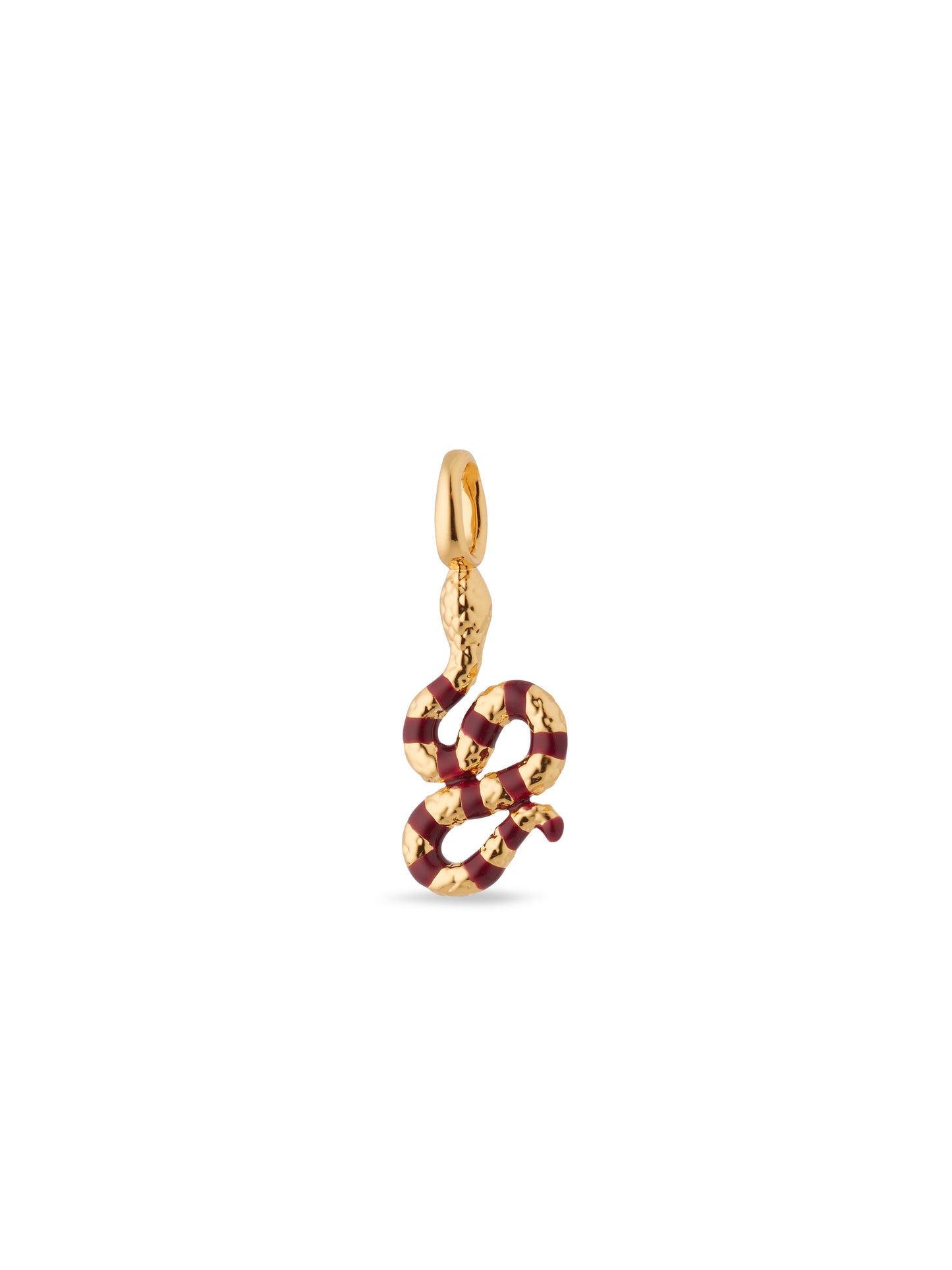 Snake Charm | auch4041