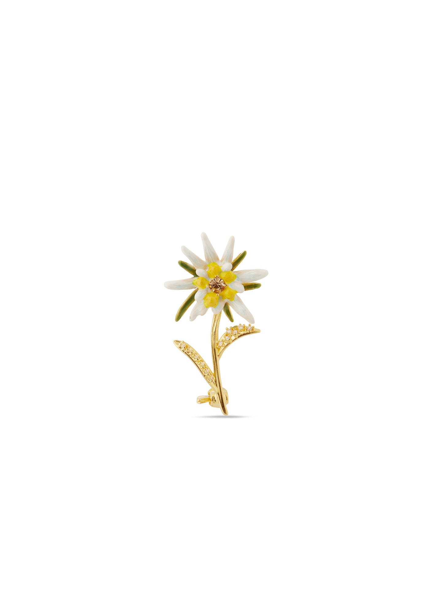 Edelweiss Flower Brooch