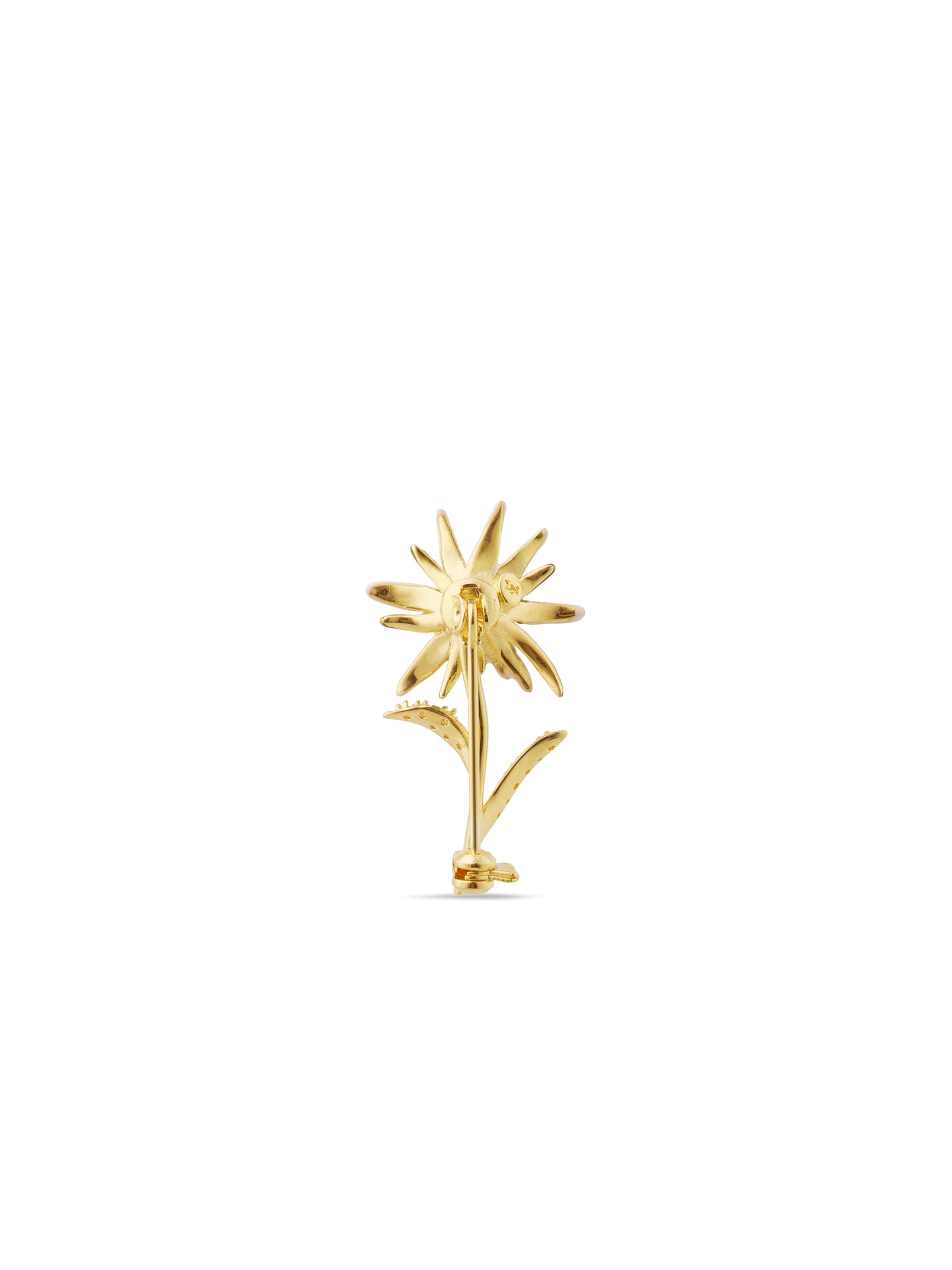 Edelweiss Flower Brooch