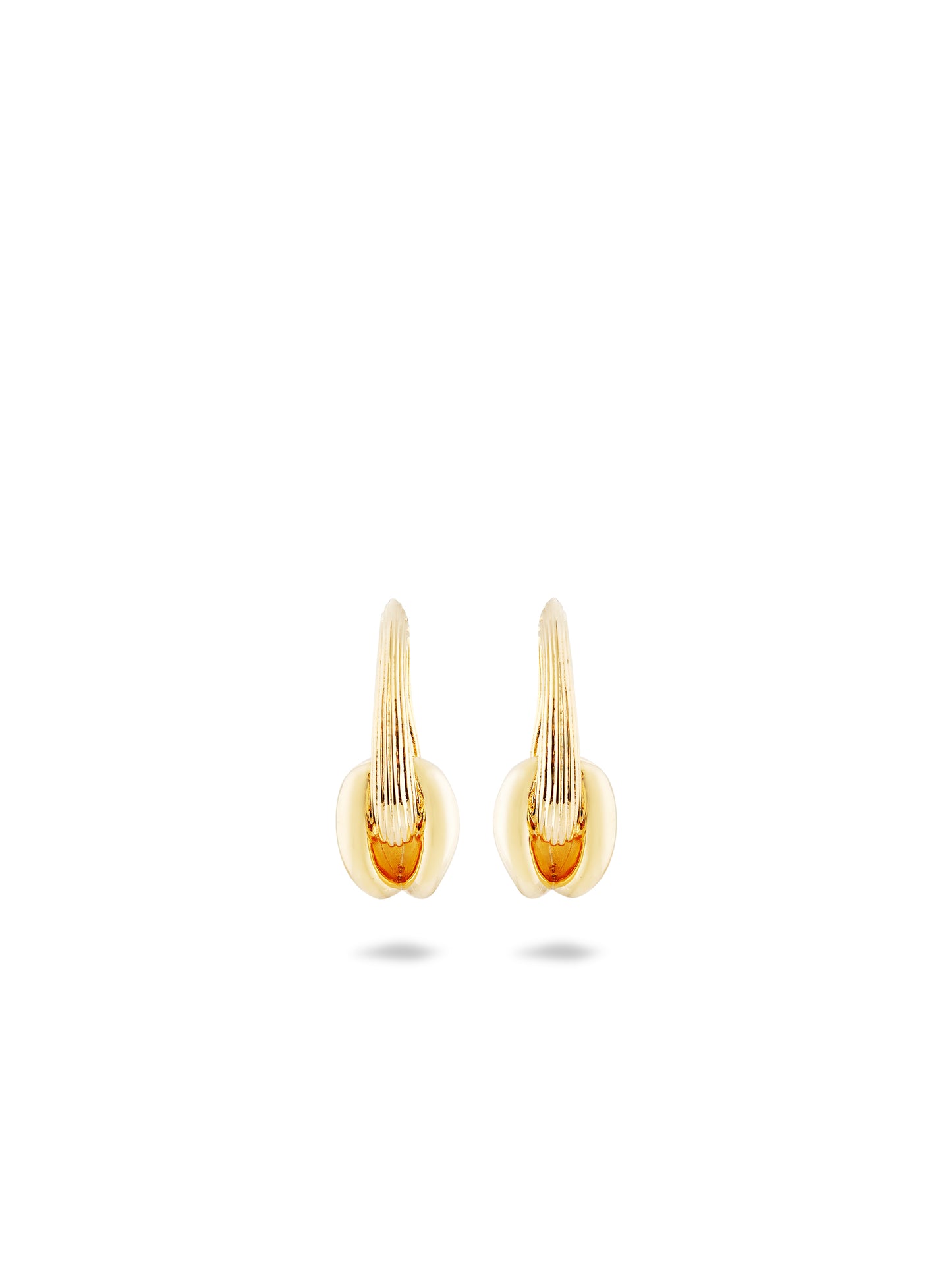 Gold And Faceted Crystal Hoop Earrings | aunb1061