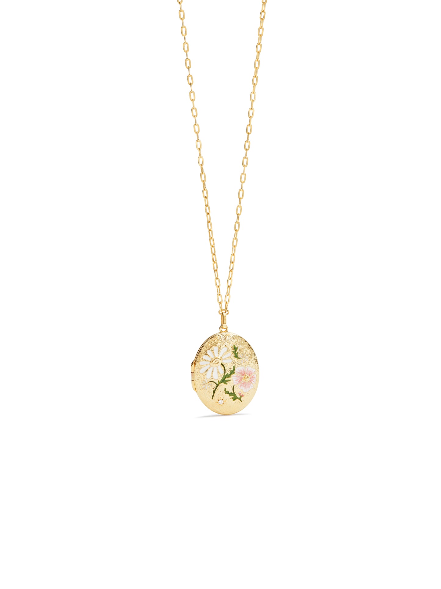 Secret Medallion Pendant Necklace | aups3021