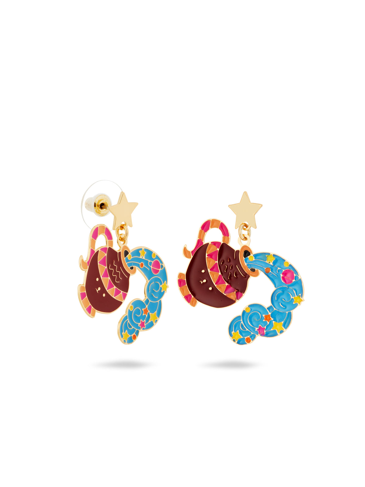 Aquarius Astrological Sign Earrings | ausa1111