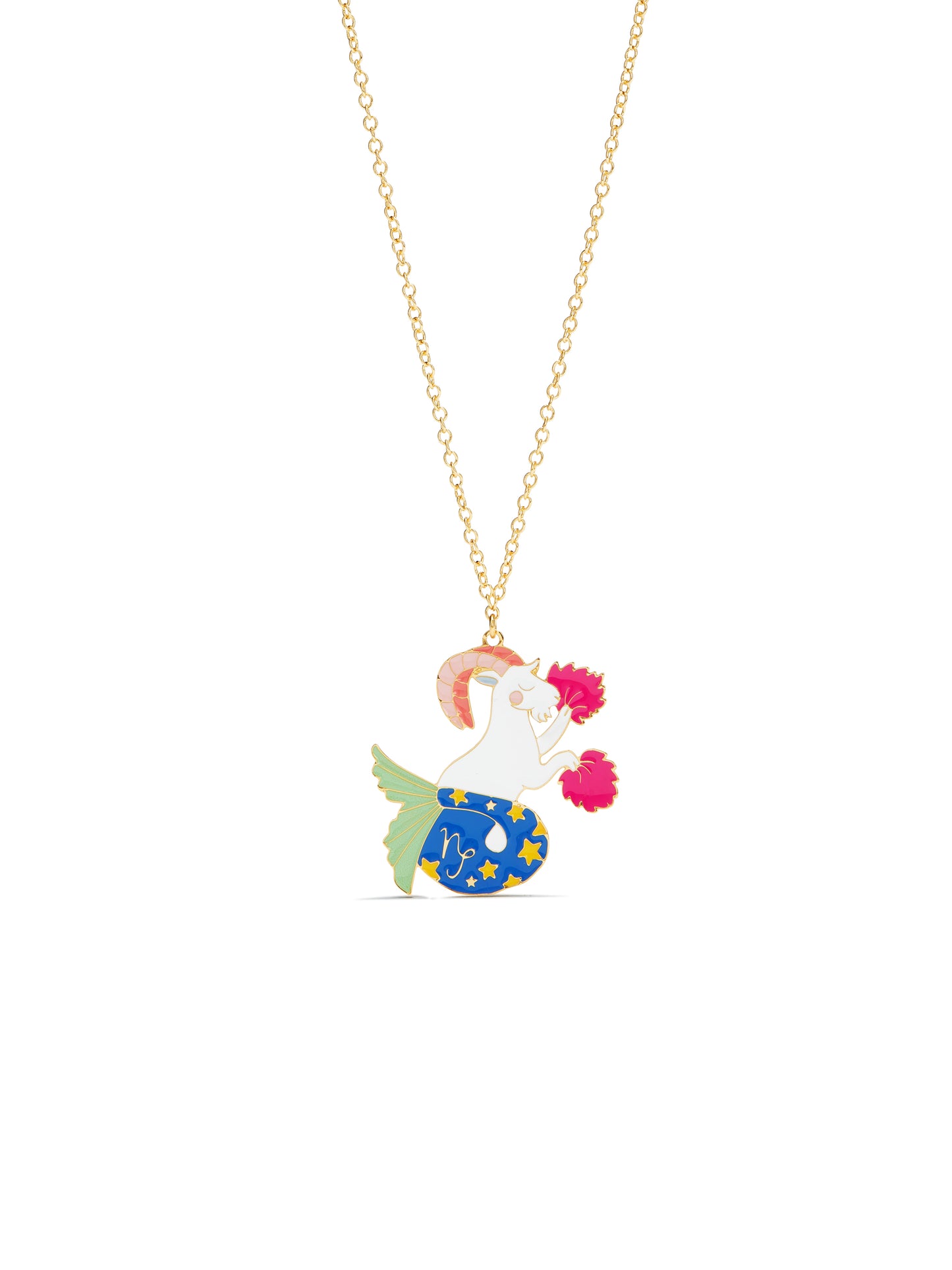 Capricorn Astrological Sign Pendant Necklace | ausa3101